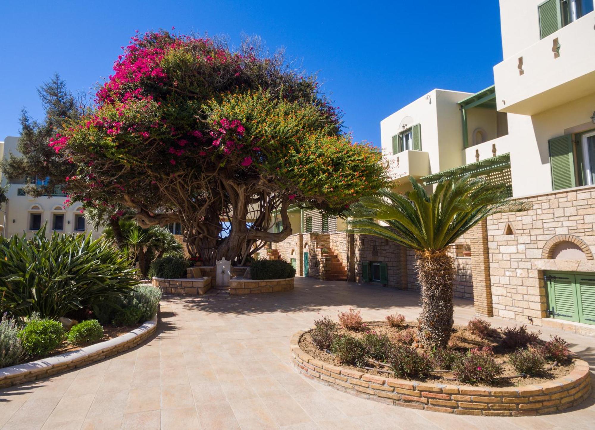 אליקו ביץ' Finikas Hotel מראה חיצוני תמונה